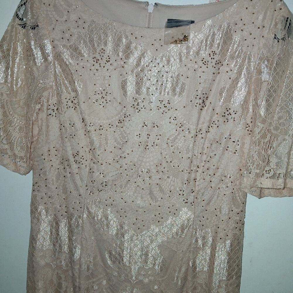 NWOT Adrianna Papell dress - Picture 3 of 4
